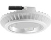 BAYLED78YW/LC Hibay 11183 Lumens High Bay 78W Warm LED 3X26W With Lightcloud
